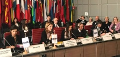 27. септембар 2017. Председница Одбора за одбрану и унутрашње послове Марија Обрадовић на тематском панелу „Улога парламента у демократској контроли оружаних и безбедносних снага“